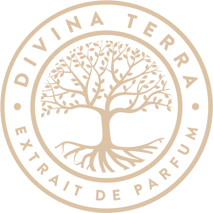 О бренде DiVina Terra - Фон